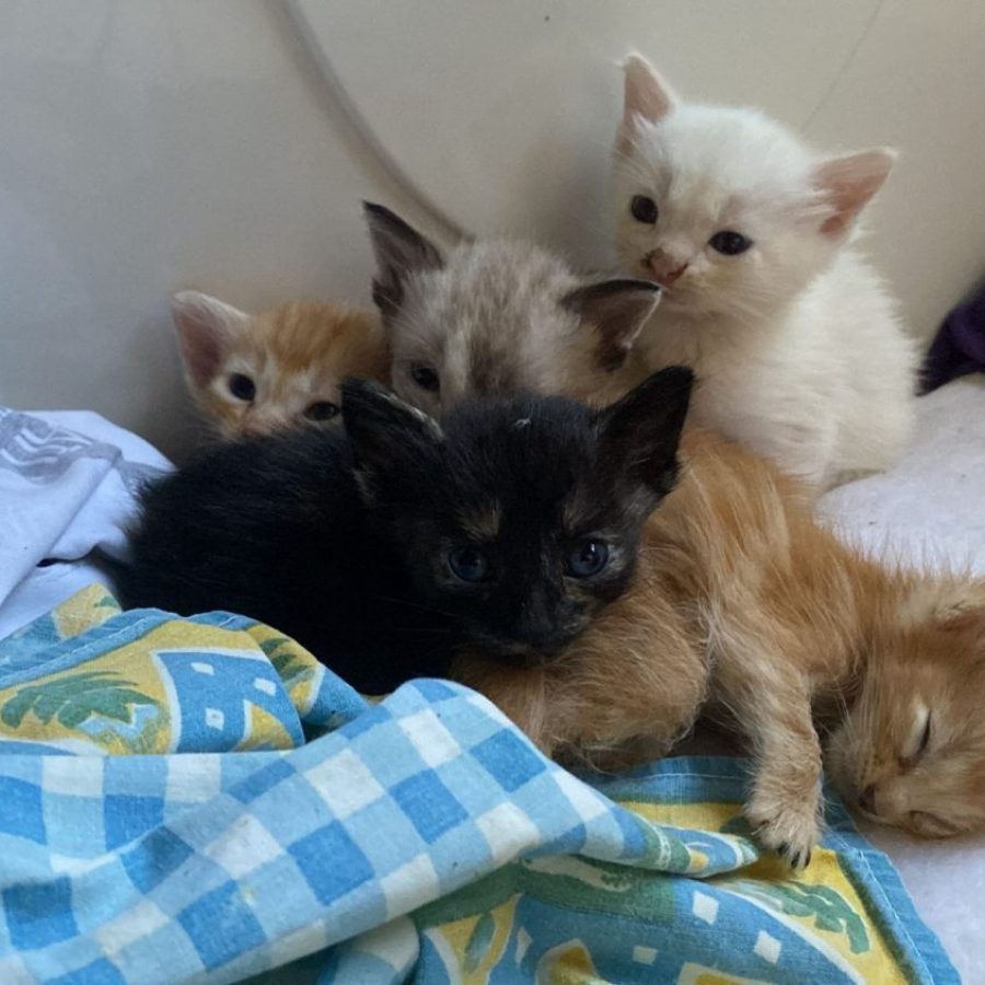 80216e2f-1ea3-4b1b-99a1-f4bd1c28ec92