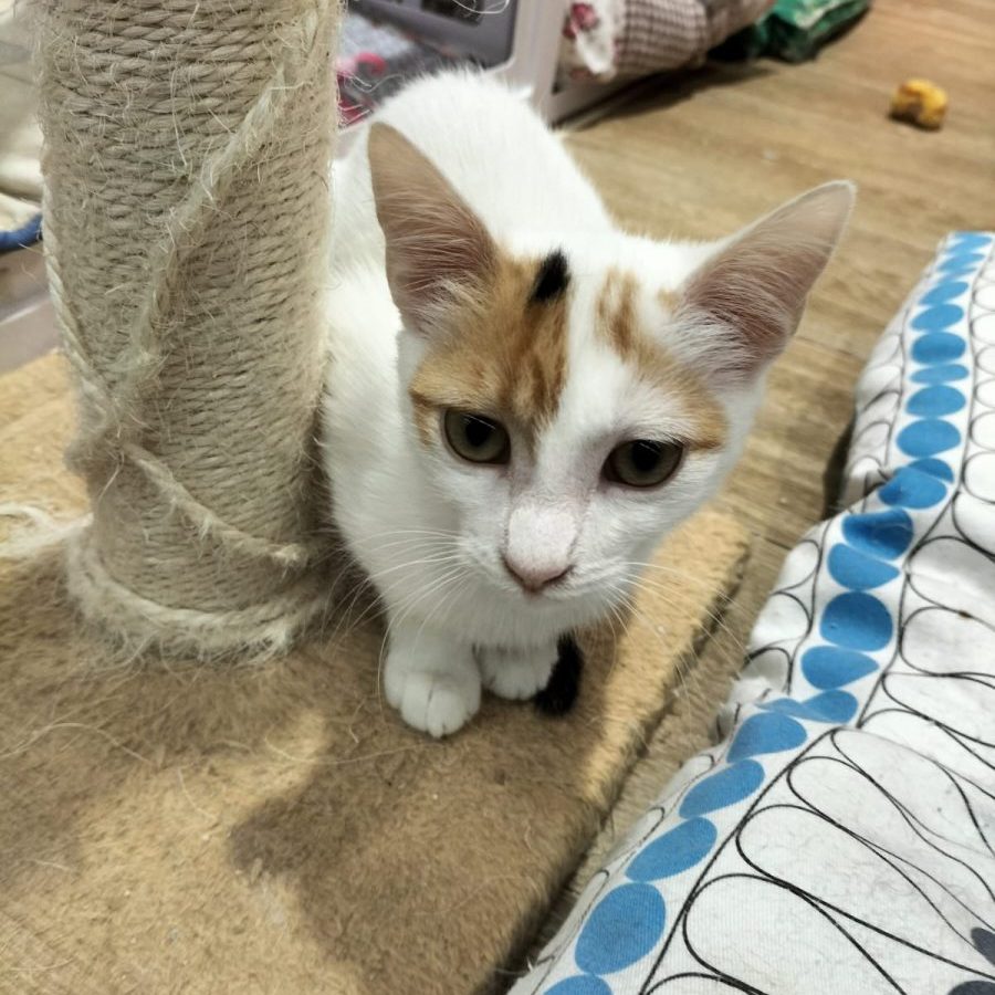 WhatsApp Image 2023-09-28 at 21.23.06